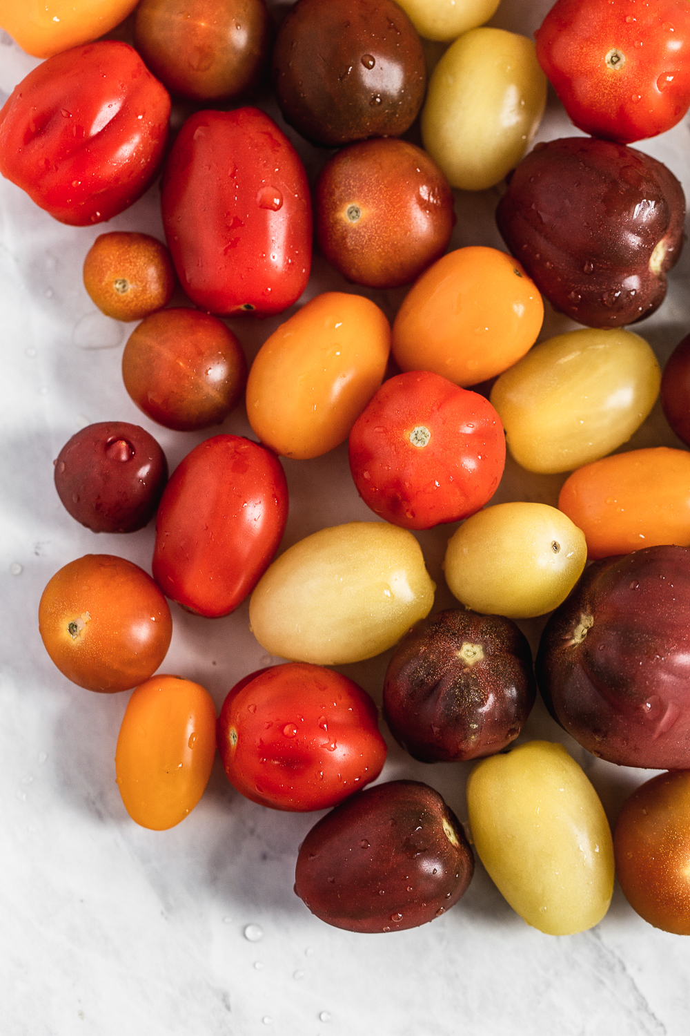  Cherry Tomatoes photography