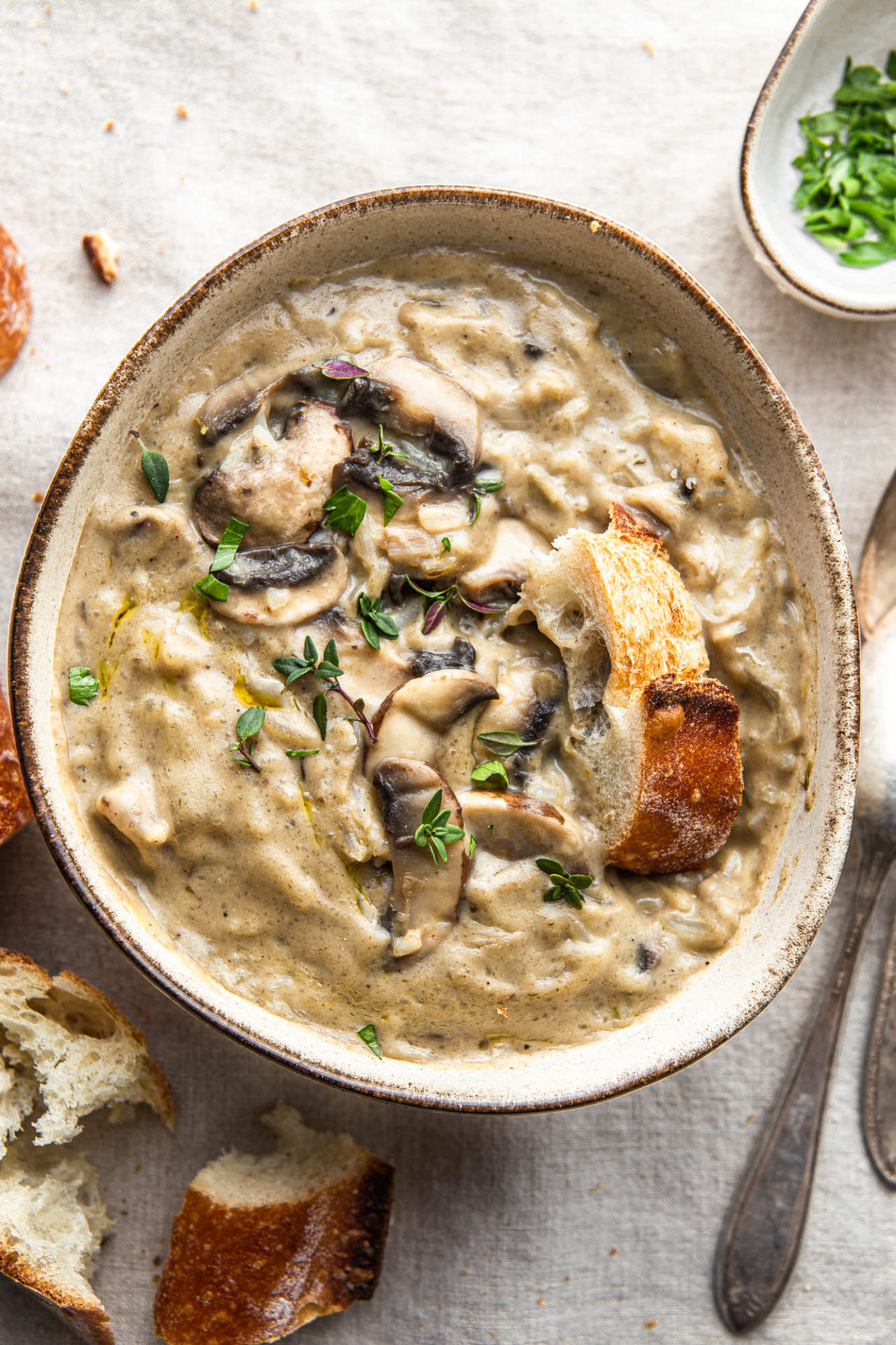 Cream Of Mushroom Soup with french baguette photography