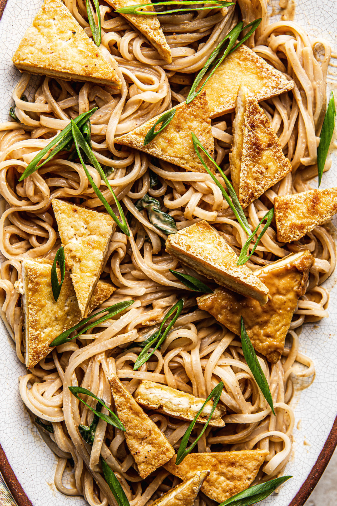 thai Peanut Noodles with Crispy Tofu cut into triangles food photography